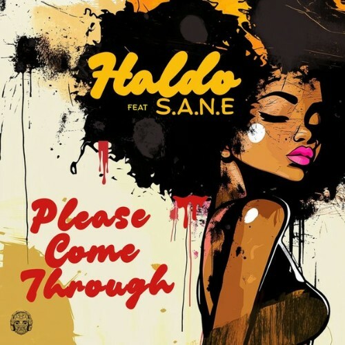  Haldo x S.A.N.E - Please Come Through (2025) 