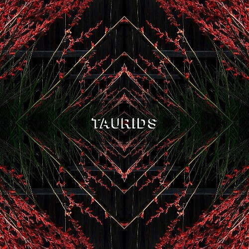  TAURIDS - Taurids (2023) 