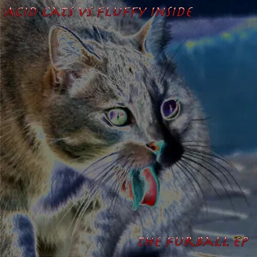 VA - Acid Cats vs Fluffy Inside - The Furball (2024) (MP3) METP7GX_o