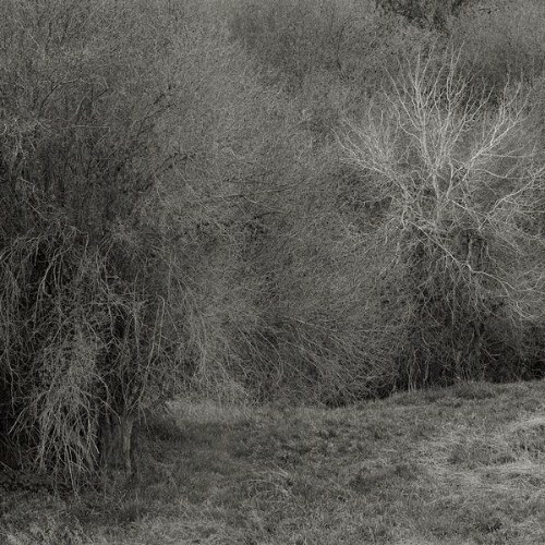  K. Leimer - Atrophies for Piano (2026) 
