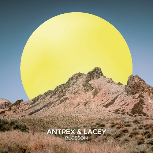 Antrex & Lacey - Blossom (2025) Antrex & Lacey - Blossom (2025)