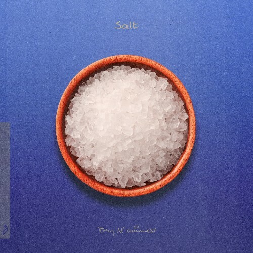 VA - Tony McGuinness - Salt (2024) (MP3)