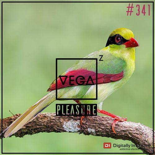  Vega Z - Pleasure 341 (2023-08-23) 