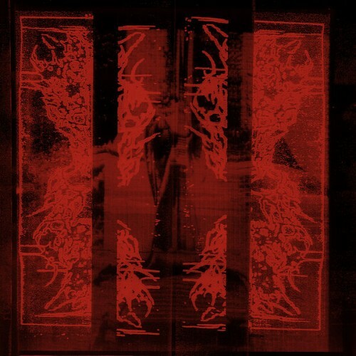  Division Of Mind - Ambroxan B/W Exoterror (2026) 