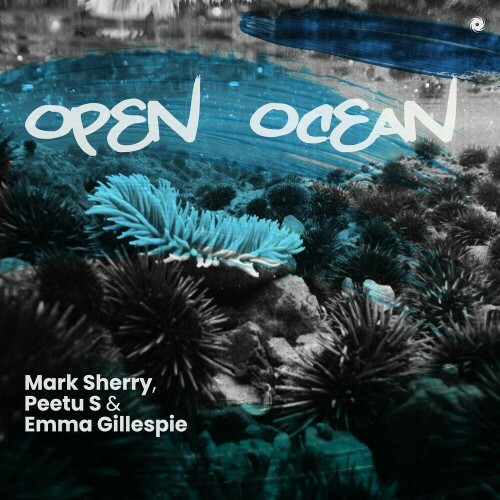 Mark Sherry with Peetu S & Emma Gillespie - Open Ocean (2024)