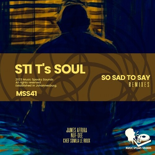  STI T's Soul - So Sad to Say (Remixes) (2023) 