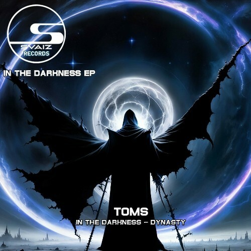  Toms - In The Darkness (2024) 