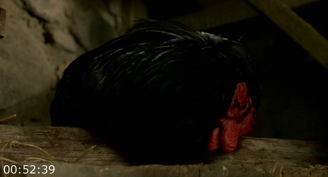 [Kép: ME19IMGL_o.png]