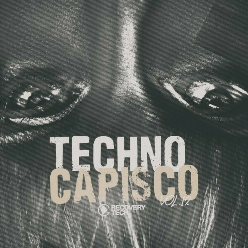  Techno Capisco, Vol. 12 (2024) 