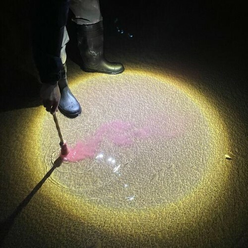 Diles que no me maten — Escrito en agua (2026)