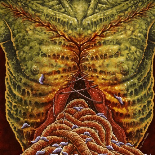  Flesh Grinder - Biacromioxifopubiano (2025) 