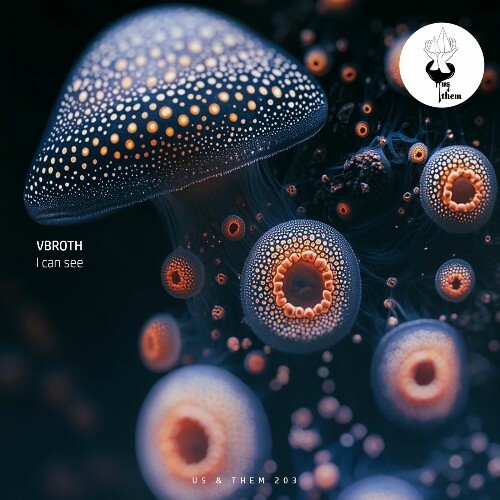  VBROTH - I Can See (2025) 