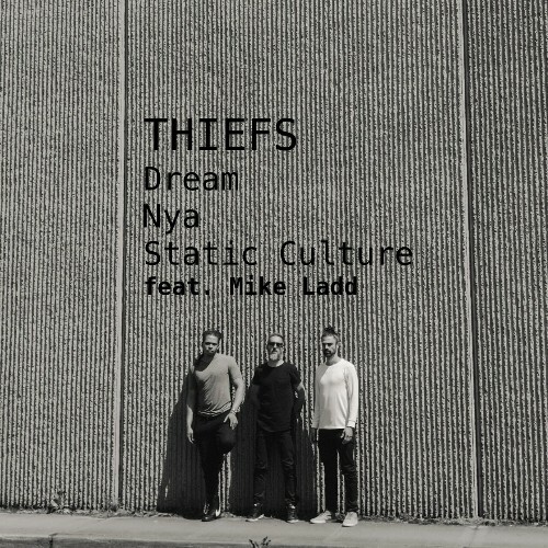  Thiefs x Mike Ladd - Static Culture (2026) 