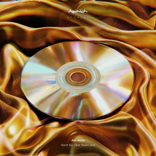  Ant Antic ft. Bearcubs - Want You (2026) 