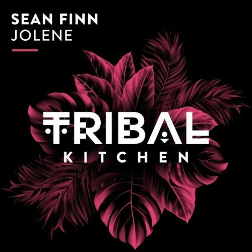  Sean Finn - Jolene (2024) 