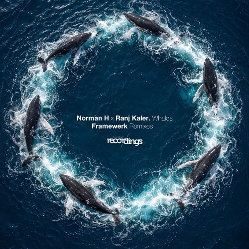  Norman H & Ranj Kaler - Whales: Framewerk Remixes (2026) 