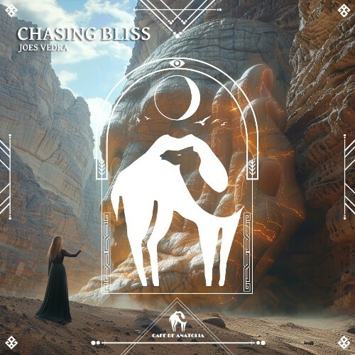  Joes Vedra - Chasing Bliss (2025) 
