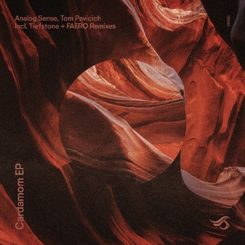  Analog Sense, Tom Pavicich - Cardamom (2026) 