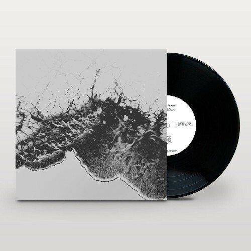 Acheronte — Plastic Thoughts (2026)