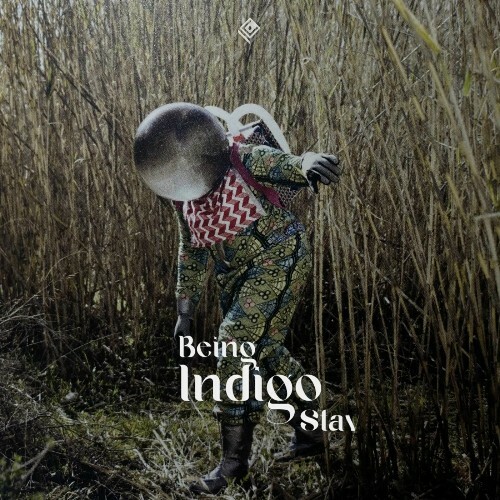  Rapossa - Indigo (2025) 