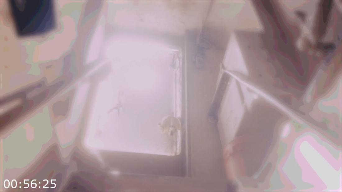 [Kép: ME1A1NJ7_o.png]