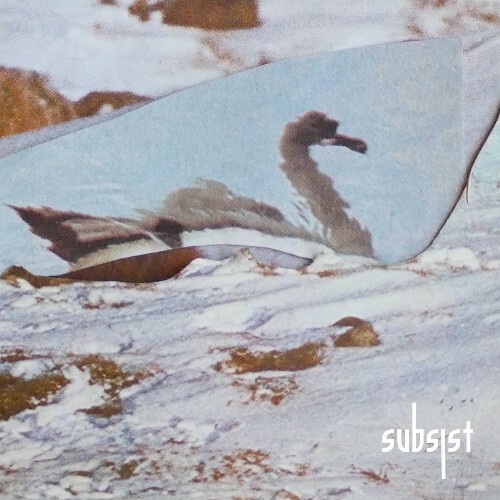  Van Der - Midnight Zen (2026) 