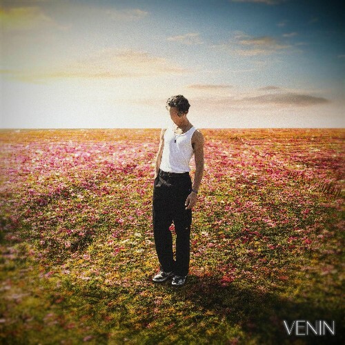  Vink - Venin (2025) 