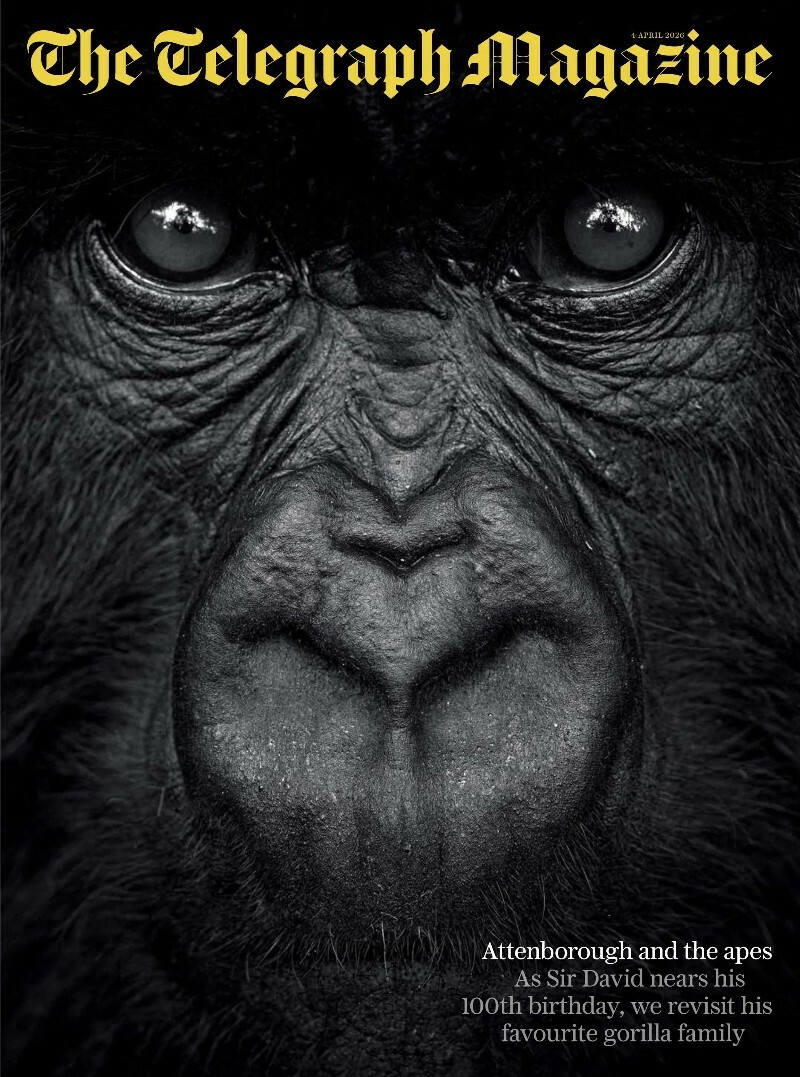 The Telegraph Magazine 4 April 2026 The Telegraph Magazine 4 April 2026