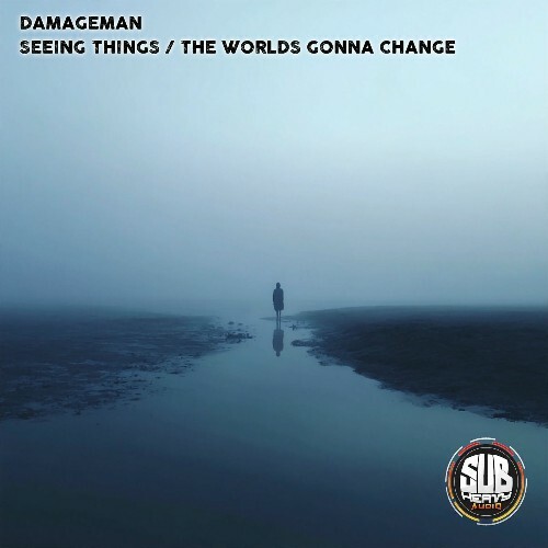  Damageman - Seeing Things / The Worlds Gonna Change (2025) 