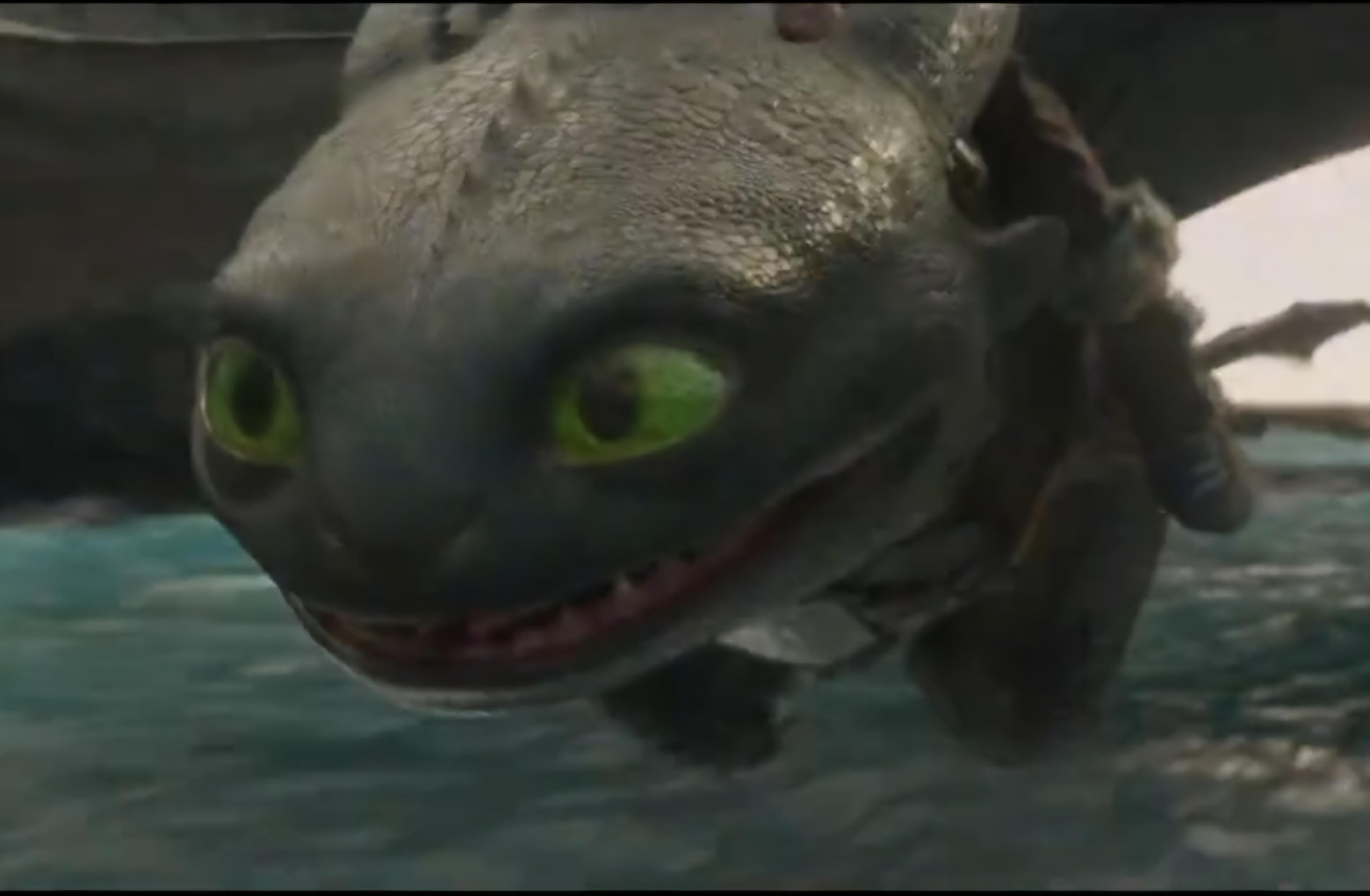 A goofy-looking closeup of Toothless while flying.