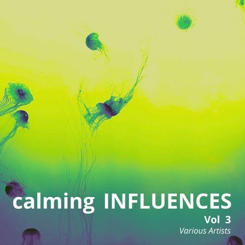 Calming Influences, Vol. 3 (2024)