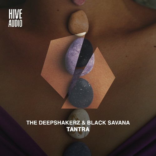  The Deepshakerz, Black Savana - Tantra (2024) 