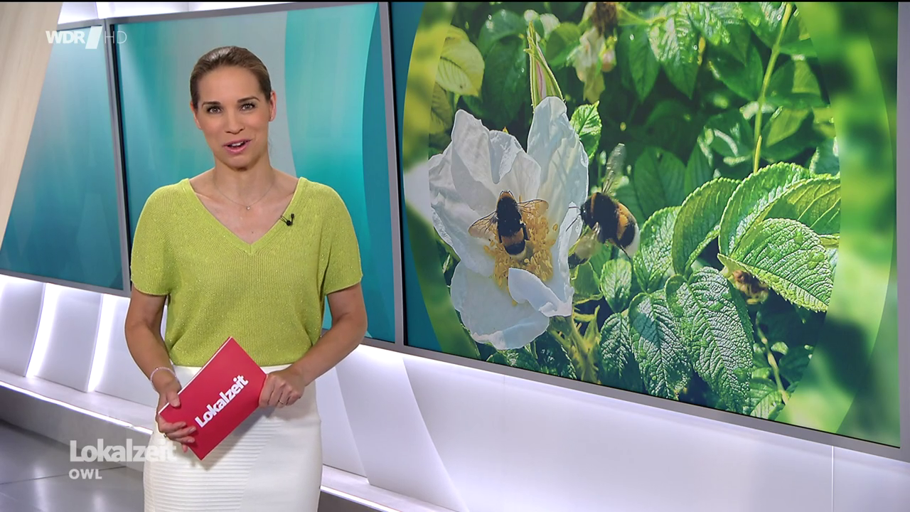Kristina Sterz - °WDR Lokalzeit OWL° 21.06.2023 - 147X Caps_139.png