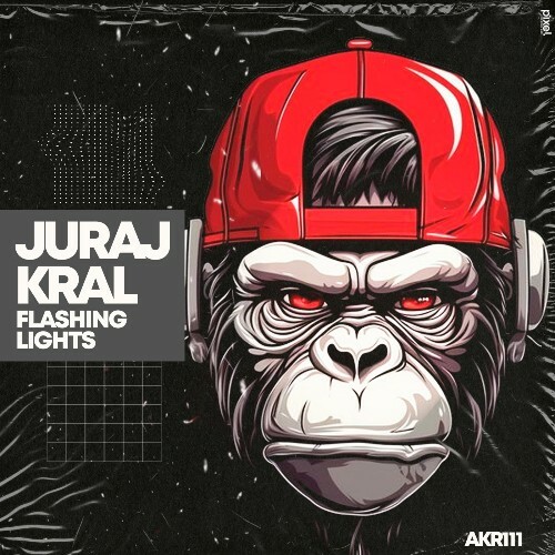 VA -  Juraj Kral - Flashing Lights (2024) [MP3] MEWW1SP_o