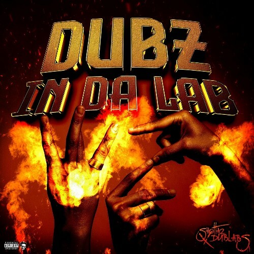  Shottaz - Dubz In Da Lab (2025) 