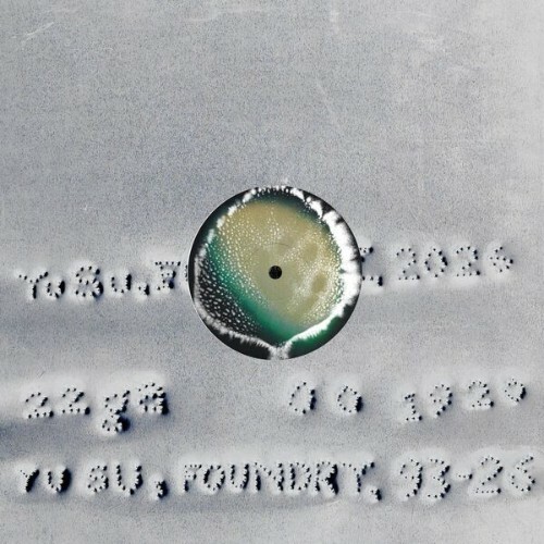  Yu Su ft Seefeel - Foundry (2026) 
