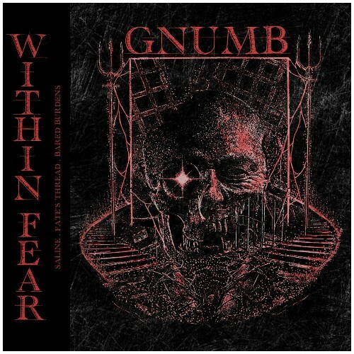 VA - Gnumb - Within Fear (2024) (MP3)