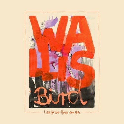 Wallis Bird — I Can See Your House From Here (2026)