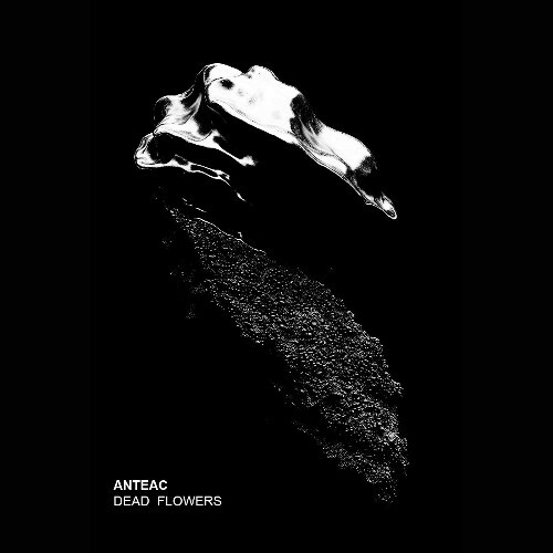  Anteac - Dead Flowers (2026) 