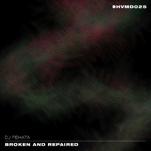  DJ Pehata - Broken and Repaired (2025) 