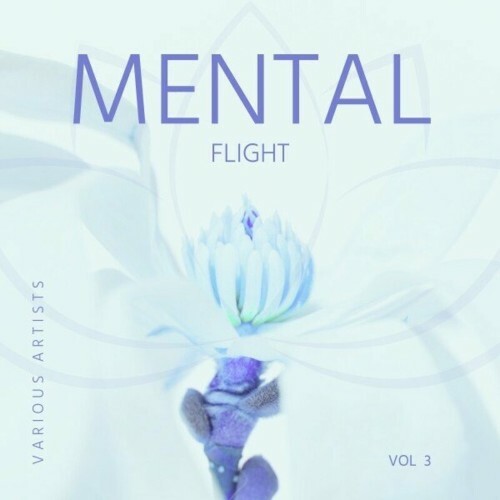  Mental Flight, Vol. 3 (2024) 