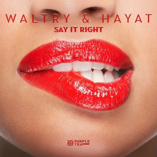  Waltry and HayaT - Say It Right (2026) 