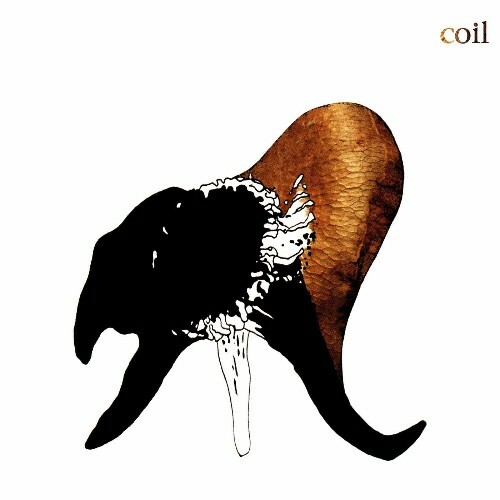  Coil - Black Antlers (2025) 