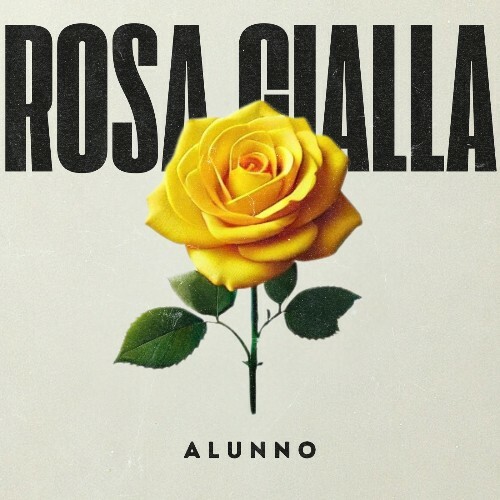  Alunno - Rosa Gialla (2024) 