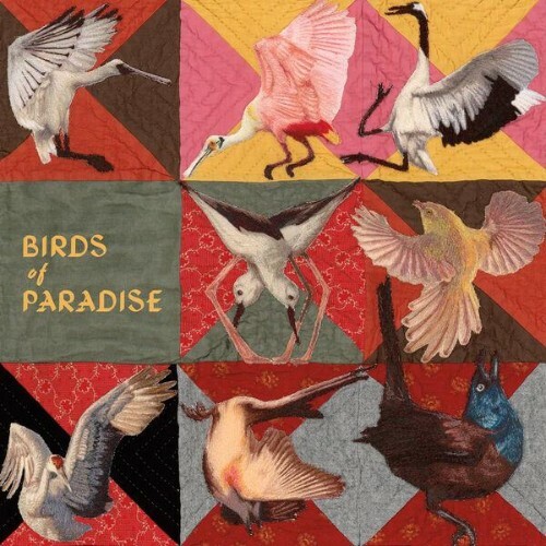  Thomas Dollbaum - Birds of Paradise (2026) 
