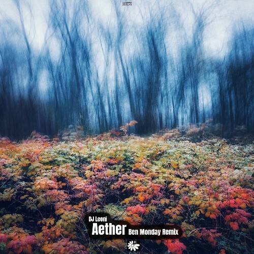  DJ Leoni - Aether (Ben Monday Remix) (2025) 
