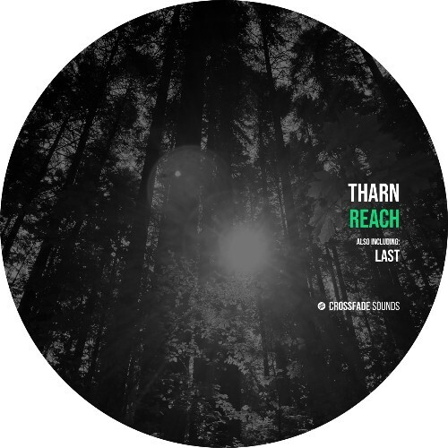  Tharn - Reach (2025) 