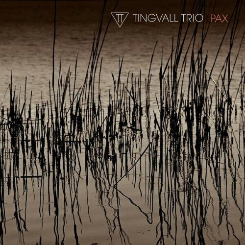  Tingvall Trio - Pax (2025) 