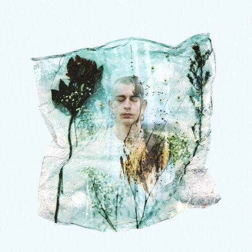  Hungergefuehl - Blumenausdreck (2025) 
