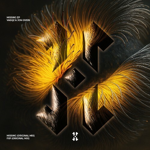  Jon Given, VASQZ - Missing (2025) 